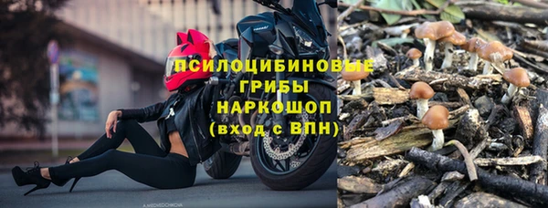 индика Михайлов