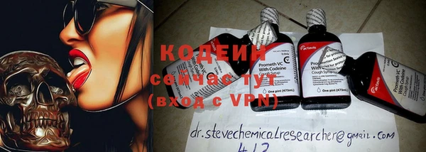 индика Михайлов