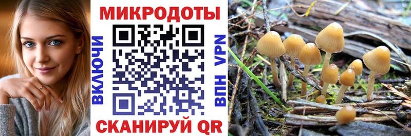 Купить  Хабаровск  Псилоцибиновые грибы GOLDEN TEACHER 